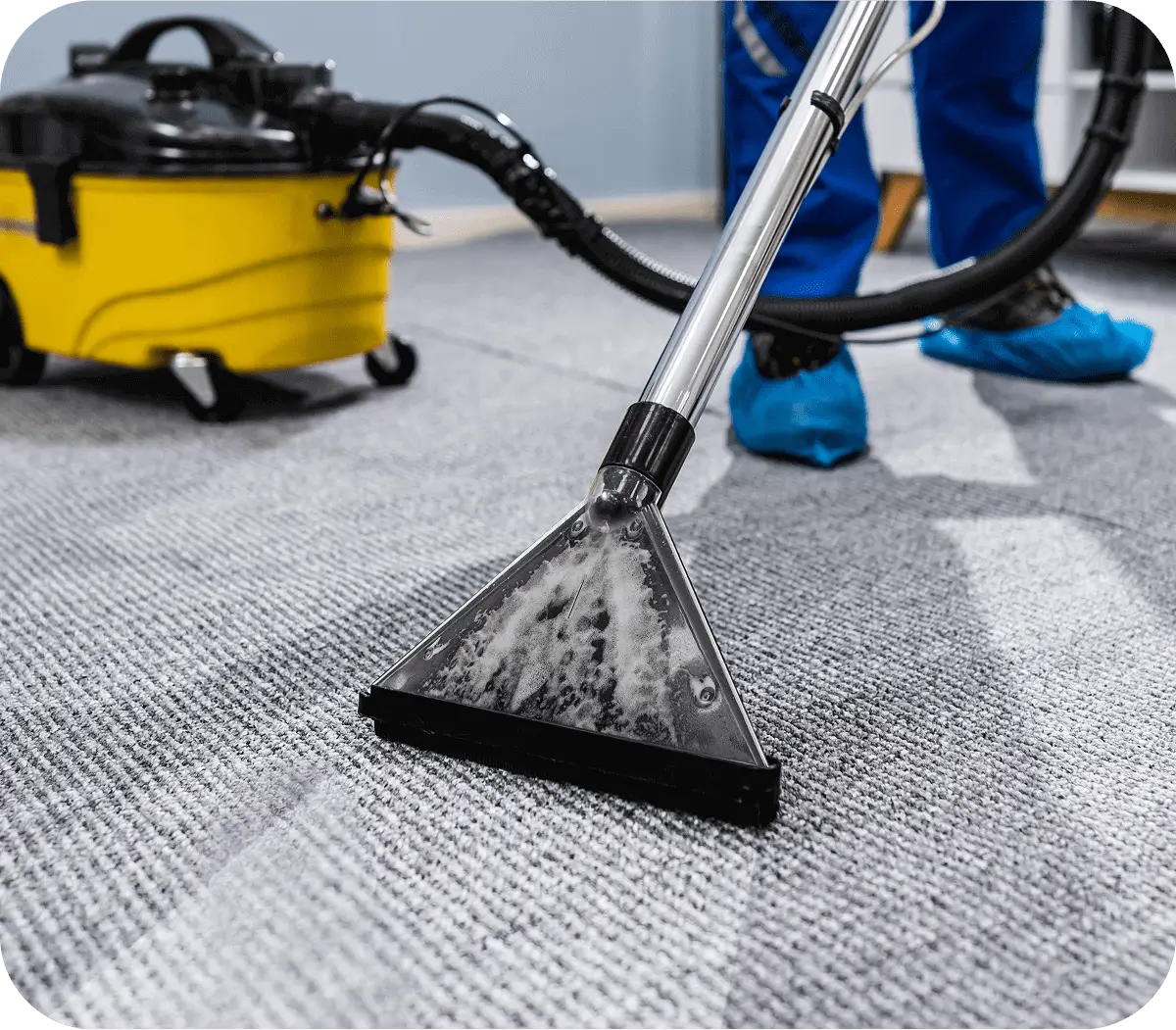 Professional carpet cleaning in progress with a vacuum extractor.